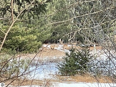 701 Grey Rd, West Branch, MI 48661 - photo 3