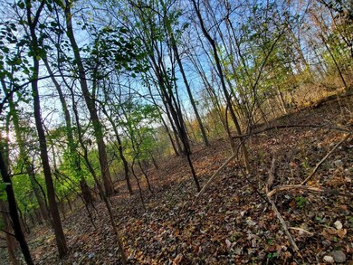 0 Pennsylvania Ave, Hampton Manor, NY 12144 - photo 5