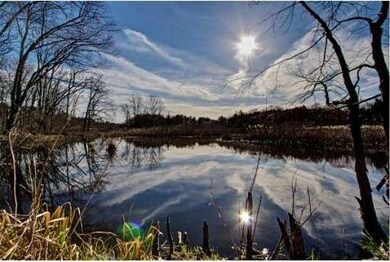 11 Nina Ln, Franklin, MA 02038 - photo 5