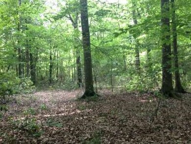 . Old Hwy 51 S, Osyka, MS 39657 - photo 2