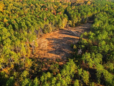 0 Burnine Rd, Lexington, TN 38351 - photo 6