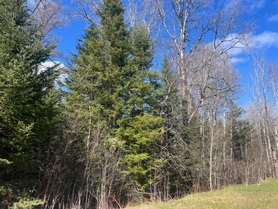 Nicely wooded