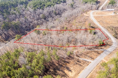 LOT 63 Shoreside at Sipsey, Double Springs, AL 35553 - photo 3