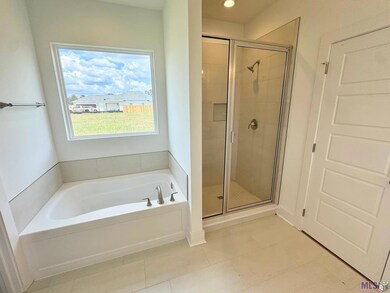 18916 Pharlap Way, Zachary, LA 70791 - photo 6