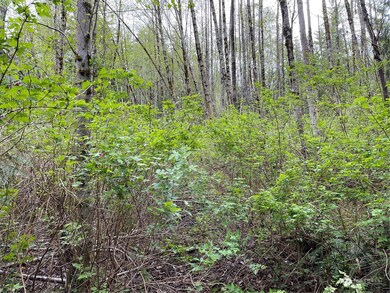 2800 Freestad Rd, Stanwood, WA 98292 - photo 6