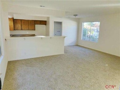 Open Living Room and Kitchen