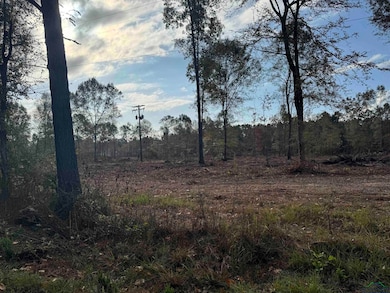 Lot 4 TBD County Road 4108, Henderson, TX 75654 - photo 3