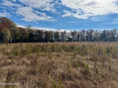 180 Asbury Rd, Cove City, NC 28523 - photo 6