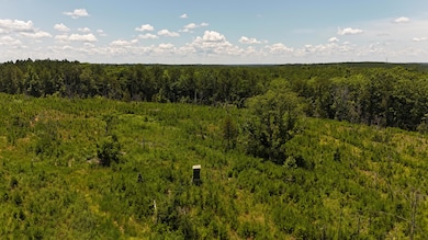 DJI_20250620132026_0083_D