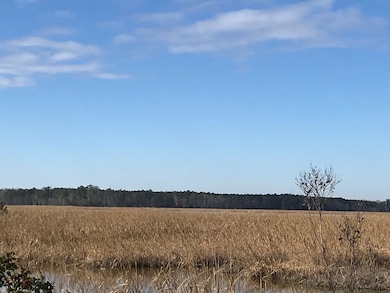 Lot 14 Goose Creek Rd, Shacklefords, VA 23156 - photo 3