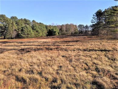 TBD Foreside pic 3