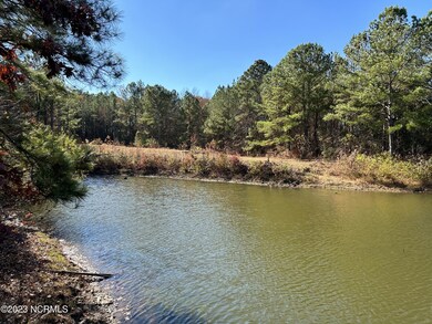 pond toward house site