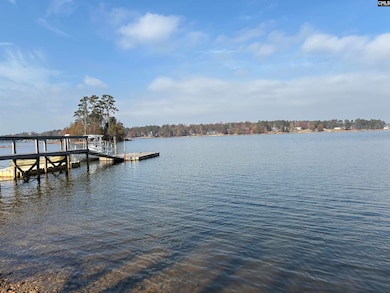 266 Saluda Waters Point, Batesburg-Leesville, SC 29070 - photo 4