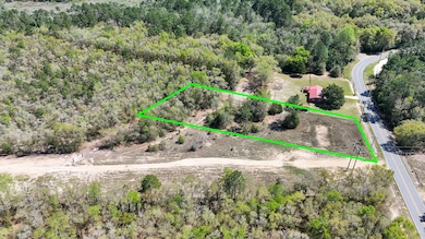 000 N 20th St, Defuniak Springs, FL 32435 - photo 5