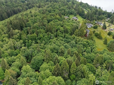 4061 S Eagle Ridge Dr, Camano, WA 98282 - photo 3