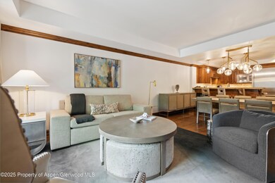 415 E Dean St unit 23B week 11, Aspen, CO 81611 - photo 4