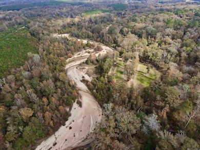 9839 Byrnes Rd, Saint Francisville, LA 70775 - photo 4