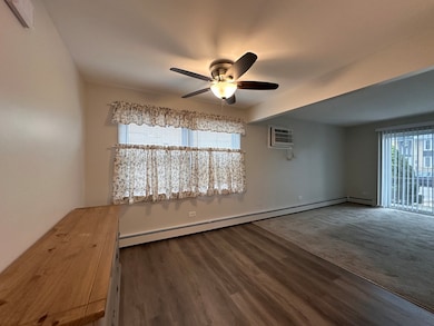 4525 Elm Ave unit 2B, Brookfield, IL 60513 - photo 5