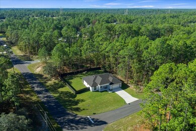 802 W Hemlock Dr, Citrus Springs, FL 34434 - photo 6