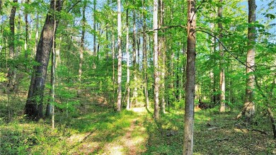 View of nature featuring a view of trees