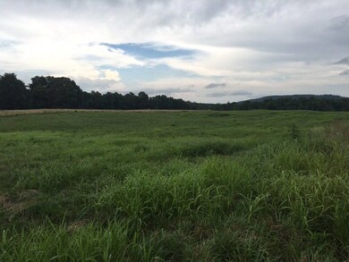 7.7 AC Eckles Cemetery Rd, Livingston, TN 38570 - photo 4