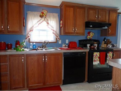 751 Starnes Cove Rd, Asheville, NC 28806 - photo 6