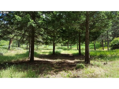 37901 Boulder Flat Ln, Halfway, OR 97834 - photo 7