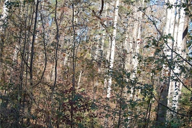 View of local wilderness