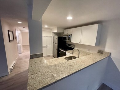24 Worcester Square unit 1, Boston, MA 02118 - photo 4
