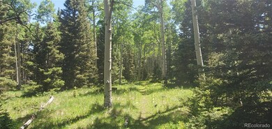 Lot 3085 Henderson Dr unit 3085, Fort Garland, CO 81133 - photo 5