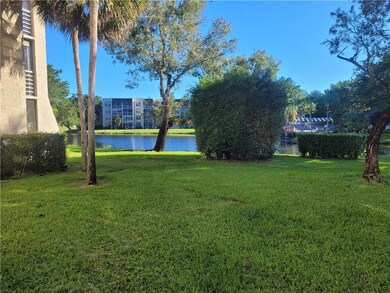 Backyard View