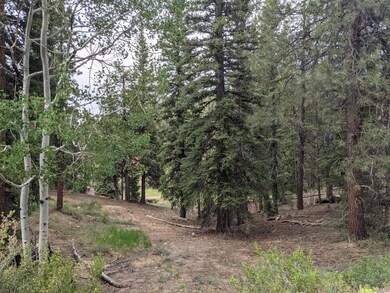 Aspen and pines cover lot