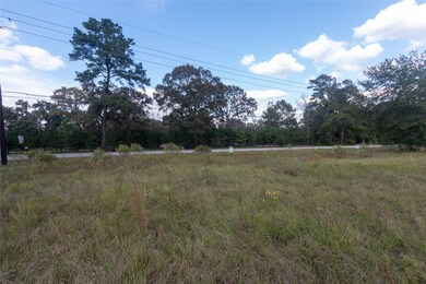 16603 Butera Rd, Magnolia, TX 77355 - photo 6