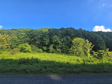 TBD Cliff Rd, North Tazewell, VA 24630 - photo 4