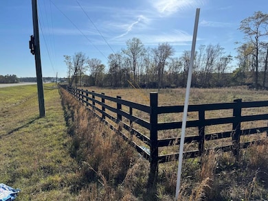 US 1 Us 1 and Hwy 23, Alma, GA 31510 - photo 4