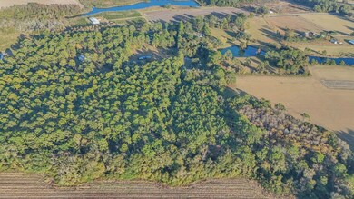 7921 Five Forks Rd, Boston, GA 31626 - photo 3