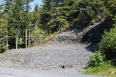 103 Cabin Ridge Rd, Cordova, AK 99574 - photo 7