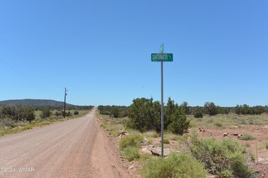 5042 Cedar Hills Rd, Snowflake, AZ 85937 - photo 5