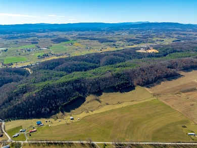 TBD Gap of Ridge Rd, Rural Retreat, VA 24368 - photo 6