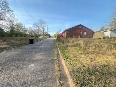 0 11th Ave S, Phenix City, AL 36869 - photo 4