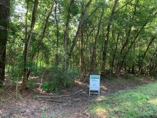 Lots 35-43 Seminole at Apache Trail, Magnolia, TX 77354 - photo 5