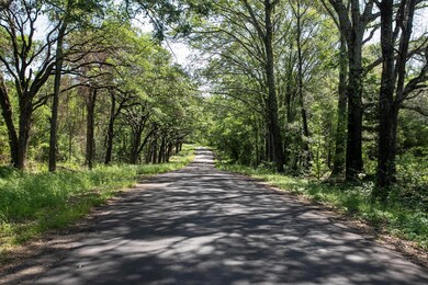 View of road
