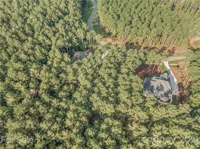 Beautiful wooded lots