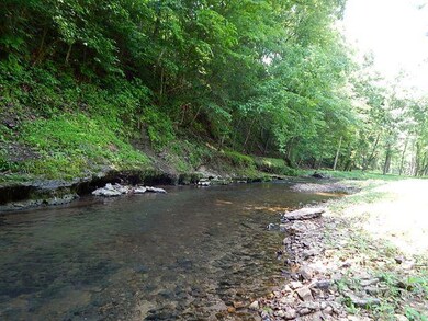Sparkling Year Round  Water
