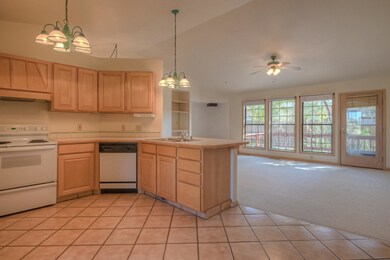 Kitchen Living Room-10