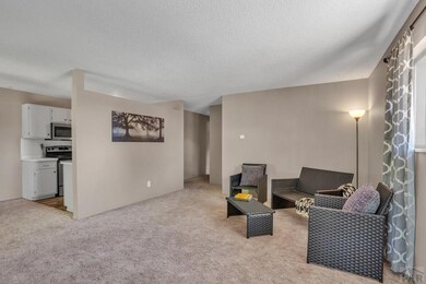 Main Living Area