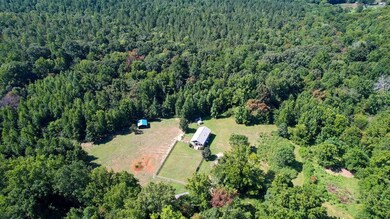 188 Addie Alston Rd, Siler City, NC 27344 - photo 6