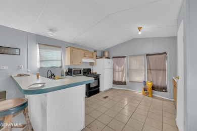 3320 Desert Blossom Dr, El Paso, TX 79938 - photo 6