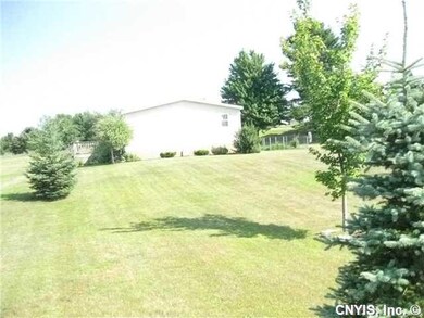 Backyard. House includes 10 acres.