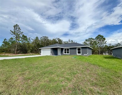2529 Breezy Point Dr, Dunnellon, FL 34431 - photo 3
